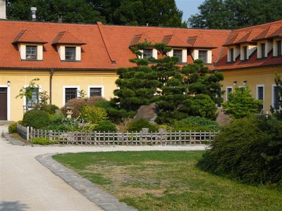 img00006